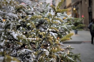 christmas tree